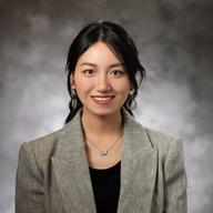 Wenjie Lan